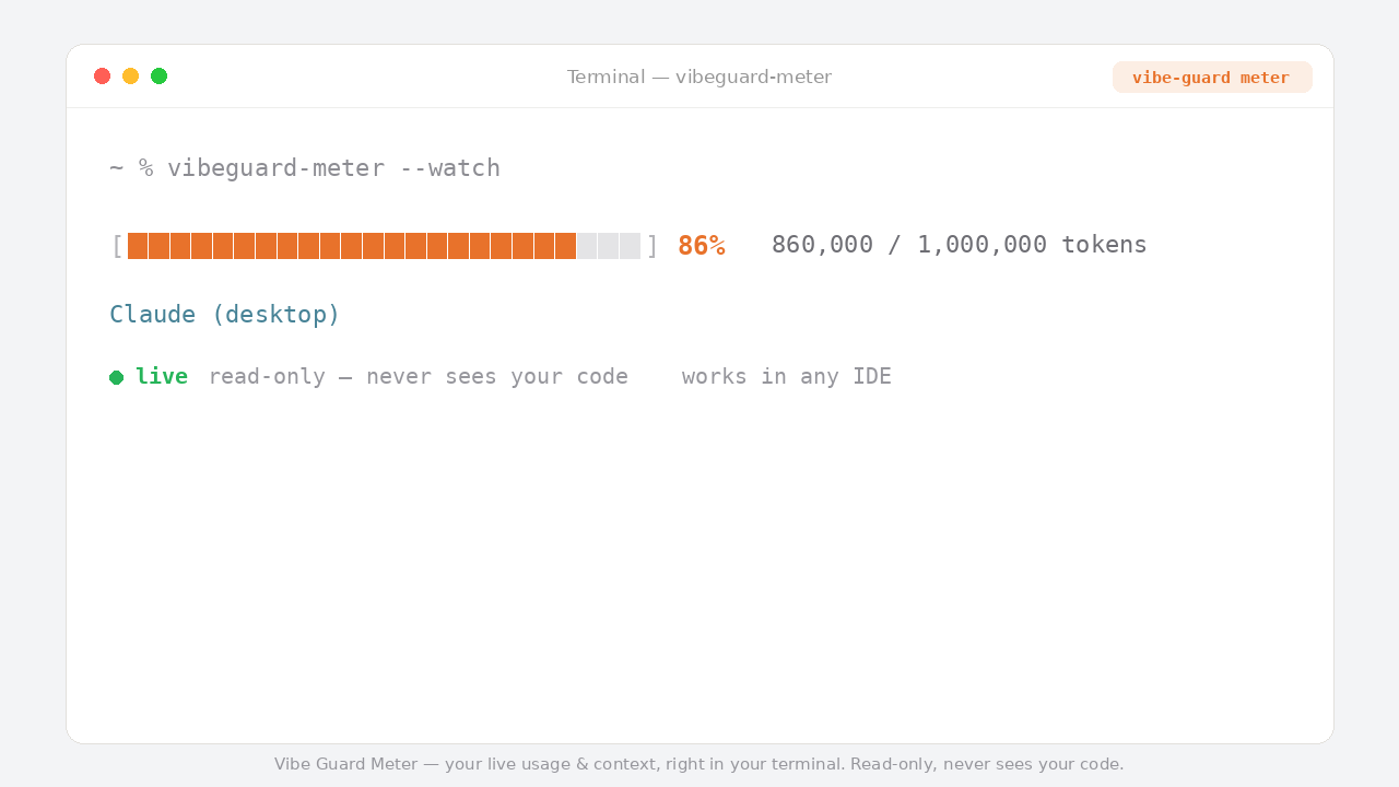 Vibe Guard Usage Meter CLI